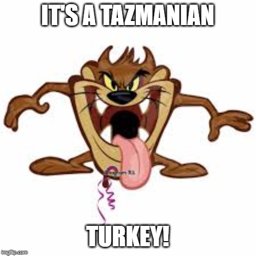 Tazmanian devil | IT'S A TAZMANIAN TURKEY! | image tagged in tazmanian devil | made w/ Imgflip meme maker