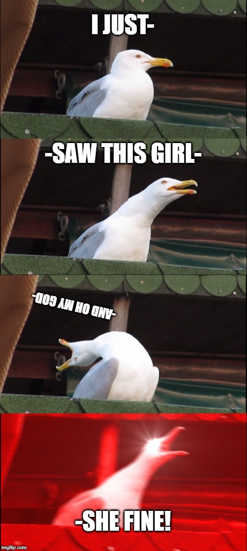 Inhaling Seagull | I JUST-; -SAW THIS GIRL-; -AND OH MY GOD-; -SHE FINE! | image tagged in memes,inhaling seagull | made w/ Imgflip meme maker