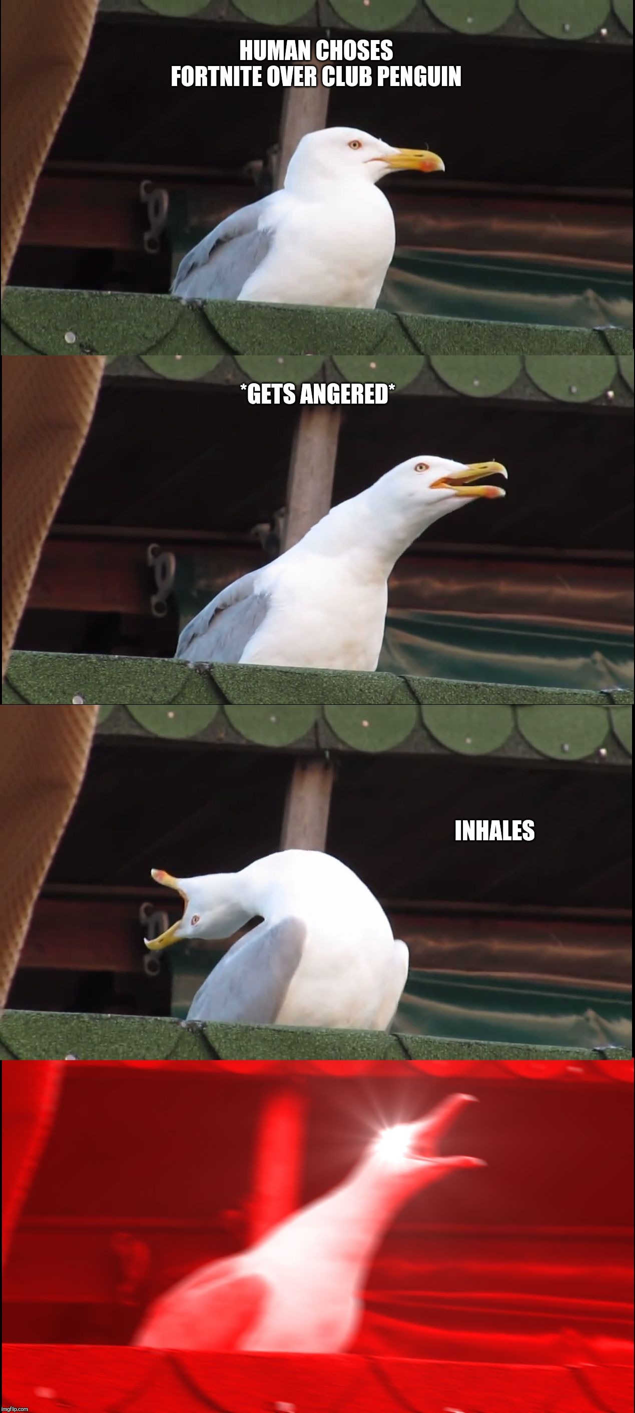 Seagull gets mad | HUMAN CHOSES FORTNITE OVER CLUB PENGUIN; *GETS ANGERED*; INHALES | image tagged in memes,inhaling seagull,seagull,angery | made w/ Imgflip meme maker