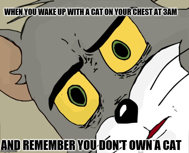 Unsettled Tom Meme | WHEN YOU WAKE UP WITH A CAT ON YOUR CHEST AT 3AM; AND REMEMBER YOU DON'T OWN A CAT | image tagged in memes,unsettled tom | made w/ Imgflip meme maker