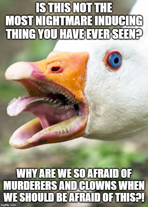 IS THIS NOT THE MOST NIGHTMARE INDUCING THING YOU HAVE EVER SEEN? WHY ARE WE SO AFRAID OF MURDERERS AND CLOWNS WHEN WE SHOULD BE AFRAID OF THIS?! | image tagged in memes | made w/ Imgflip meme maker