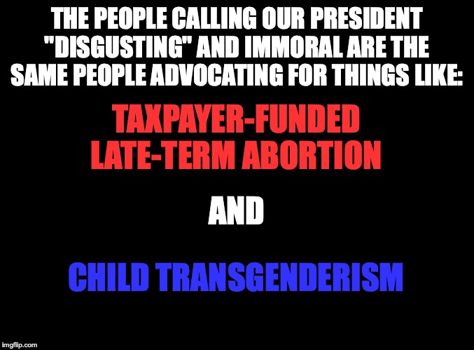 Hypocrites, every one of them. | THE PEOPLE CALLING OUR PRESIDENT "DISGUSTING" AND IMMORAL ARE THE SAME PEOPLE ADVOCATING FOR THINGS LIKE:; TAXPAYER-FUNDED LATE-TERM ABORTION; AND; CHILD TRANSGENDERISM | image tagged in memes,politics,liberals,trump,hypocrisy,abortion | made w/ Imgflip meme maker