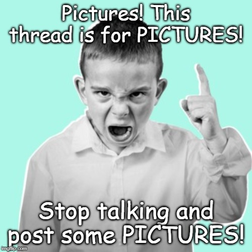 Angry kid | Pictures! This thread is for PICTURES! Stop talking and post some PICTURES! | image tagged in angry kid | made w/ Imgflip meme maker