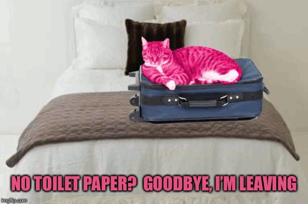 RayCat kicks to the curb | NO TOILET PAPER?  GOODBYE, I’M LEAVING | image tagged in raycat kicks to the curb | made w/ Imgflip meme maker