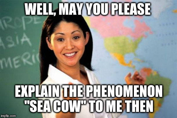 Unhelpful High School Teacher Meme | WELL, MAY YOU PLEASE EXPLAIN THE PHENOMENON "SEA COW" TO ME THEN | image tagged in memes,unhelpful high school teacher | made w/ Imgflip meme maker