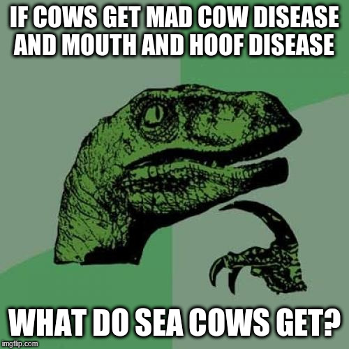 Philosoraptor Meme | IF COWS GET MAD COW DISEASE AND MOUTH AND HOOF DISEASE WHAT DO SEA COWS GET? | image tagged in memes,philosoraptor | made w/ Imgflip meme maker