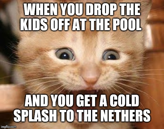 Excited Cat Meme | WHEN YOU DROP THE KIDS OFF AT THE POOL; AND YOU GET A COLD SPLASH TO THE NETHERS | image tagged in memes,excited cat | made w/ Imgflip meme maker