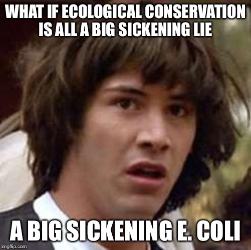 Eco Lie (not a bad pun a terrible pun) |  WHAT IF ECOLOGICAL CONSERVATION IS ALL A BIG SICKENING LIE; A BIG SICKENING E. COLI | image tagged in memes,conspiracy keanu,ecology,bad puns,terrible puns | made w/ Imgflip meme maker