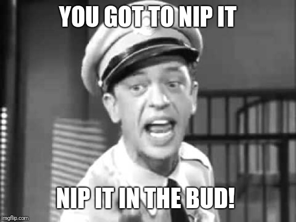 Barney Fife | YOU GOT TO NIP IT; NIP IT IN THE BUD! | image tagged in barney fife | made w/ Imgflip meme maker