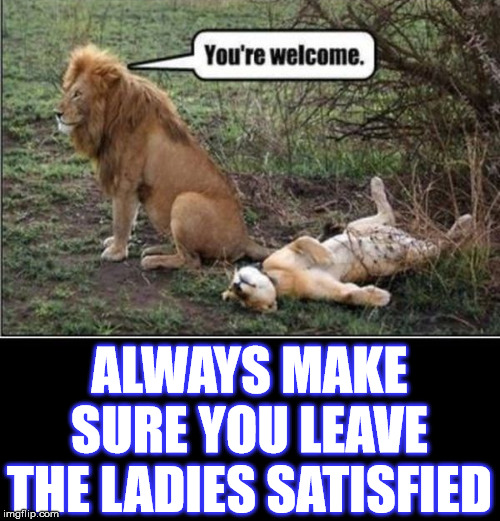 Real men take care of their ladies |  ALWAYS MAKE SURE YOU LEAVE THE LADIES SATISFIED | image tagged in satisfaction,real men,funny meme | made w/ Imgflip meme maker