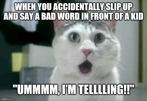 OMG Cat | WHEN YOU ACCIDENTALLY SLIP UP AND SAY A BAD WORD IN FRONT OF A KID; "UMMMM, I'M TELLLLING!!" | image tagged in memes,omg cat | made w/ Imgflip meme maker