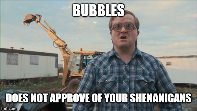 Trailer Park Boys Bubbles |  BUBBLES; DOES NOT APPROVE OF YOUR SHENANIGANS | image tagged in memes,trailer park boys bubbles | made w/ Imgflip meme maker
