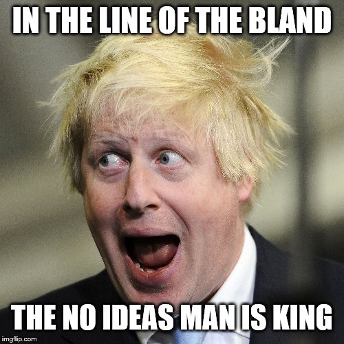 Boris Johnson | IN THE LINE OF THE BLAND; THE NO IDEAS MAN IS KING | image tagged in boris johnson | made w/ Imgflip meme maker