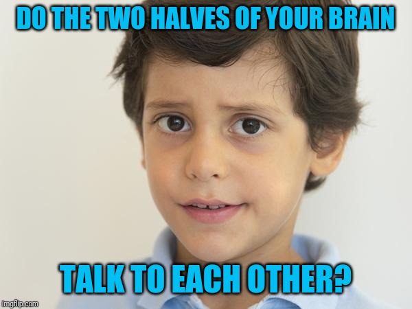 Young Sam Elliot | DO THE TWO HALVES OF YOUR BRAIN; TALK TO EACH OTHER? | image tagged in young sam elliot | made w/ Imgflip meme maker