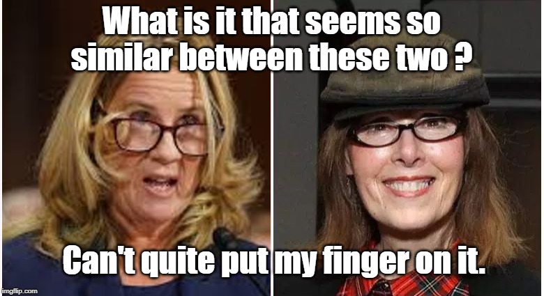 Blasey-Ford vs E. Jean Carroll | What is it that seems so similar between these two ? Can't quite put my finger on it. | image tagged in e jean carroll,christine ford,christine blasey ford | made w/ Imgflip meme maker