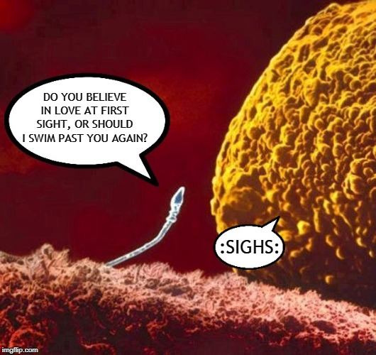 Bad Pick Up Line Sperm | DO YOU BELIEVE IN LOVE AT FIRST SIGHT, OR SHOULD I SWIM PAST YOU AGAIN? :SIGHS: | image tagged in bad pick up line sperm,memes,sperm,sperm and egg,bad pickup lines,pickup lines | made w/ Imgflip meme maker