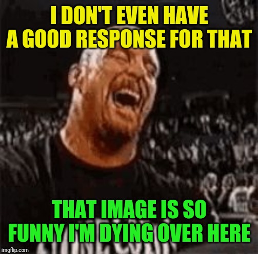 Stone Cold Laughing | I DON'T EVEN HAVE A GOOD RESPONSE FOR THAT THAT IMAGE IS SO FUNNY I'M DYING OVER HERE | image tagged in stone cold laughing | made w/ Imgflip meme maker