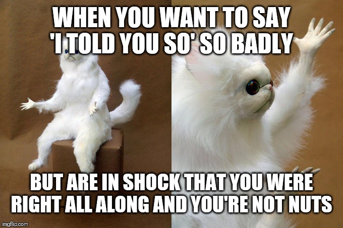 Persian Cat Room Guardian | WHEN YOU WANT TO SAY 'I TOLD YOU SO' SO BADLY; BUT ARE IN SHOCK THAT YOU WERE RIGHT ALL ALONG AND YOU'RE NOT NUTS | image tagged in memes,persian cat room guardian | made w/ Imgflip meme maker