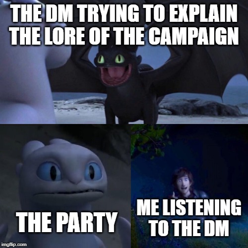 night fury | THE DM TRYING TO EXPLAIN THE LORE OF THE CAMPAIGN; THE PARTY; ME LISTENING TO THE DM | image tagged in night fury | made w/ Imgflip meme maker