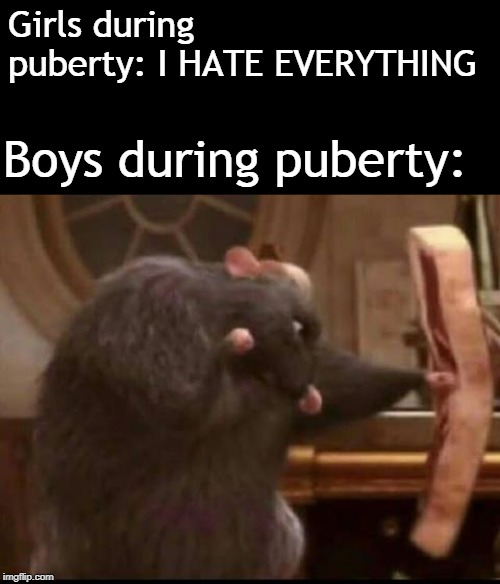 puberty | Girls during puberty: I HATE EVERYTHING; Boys during puberty: | image tagged in puberty,memes | made w/ Imgflip meme maker