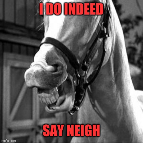 Mr. Ed | I DO INDEED SAY NEIGH | image tagged in mr ed | made w/ Imgflip meme maker