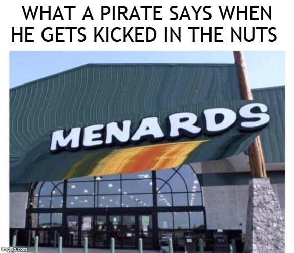 pirate | WHAT A PIRATE SAYS WHEN HE GETS KICKED IN THE NUTS | image tagged in pirate,memes | made w/ Imgflip meme maker