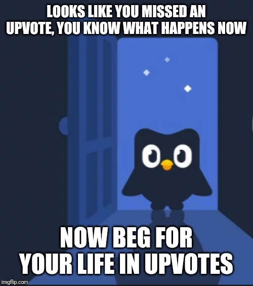 Duolingo bird | LOOKS LIKE YOU MISSED AN UPVOTE, YOU KNOW WHAT HAPPENS NOW; NOW BEG FOR YOUR LIFE IN UPVOTES | image tagged in duolingo,upvotes,memes | made w/ Imgflip meme maker