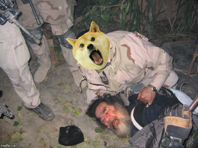 Doge of War | image tagged in dogs of war,doge,doge of war | made w/ Imgflip meme maker