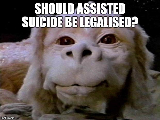 My life my choice? | SHOULD ASSISTED SUICIDE BE LEGALISED? | image tagged in falcor,right to choose,end suffering,empathy,euthanasia | made w/ Imgflip meme maker