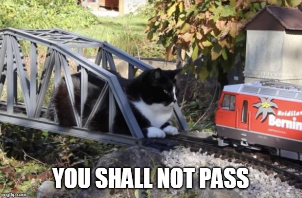 YOU SHALL NOT PASS | image tagged in cats | made w/ Imgflip meme maker