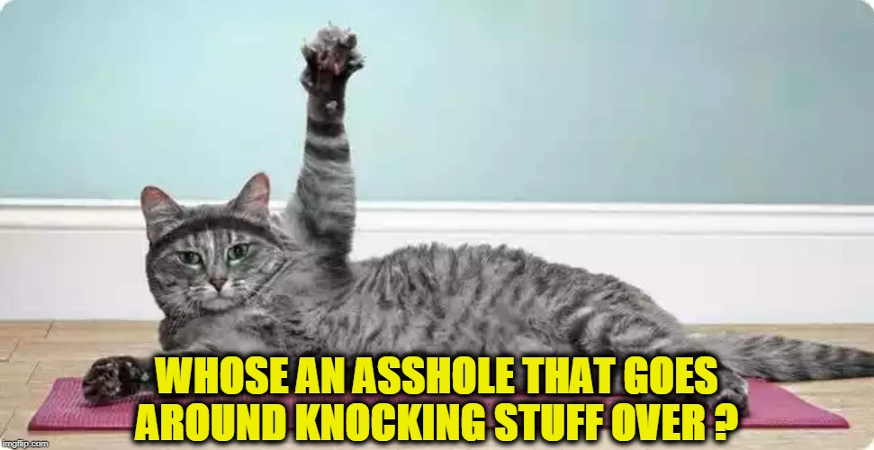 Admission Is The First  Step |  WHOSE AN ASSHOLE THAT GOES AROUND KNOCKING STUFF OVER ? | image tagged in asshole,cat,i am the one who knocks,stuff,over | made w/ Imgflip meme maker