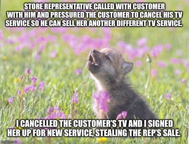 Baby Insanity Wolf Meme | STORE REPRESENTATIVE CALLED WITH CUSTOMER WITH HIM AND PRESSURED THE CUSTOMER TO CANCEL HIS TV SERVICE SO HE CAN SELL HER ANOTHER DIFFERENT TV SERVICE. I CANCELLED THE CUSTOMER’S TV AND I SIGNED HER UP FOR NEW SERVICE, STEALING THE REP’S SALE. | image tagged in memes,baby insanity wolf,AdviceAnimals | made w/ Imgflip meme maker
