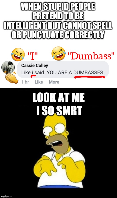 Stupid people think everybody else is stupid | WHEN STUPID PEOPLE PRETEND TO BE INTELLIGENT BUT CANNOT SPELL OR PUNCTUATE CORRECTLY; LOOK AT ME; I SO SMRT | image tagged in stupid people,homer simpson,spelling error,comments,social media | made w/ Imgflip meme maker