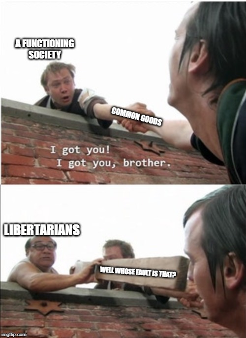 It's Always Sunny In Philadelphia Roof Scene 2 Panel | A FUNCTIONING SOCIETY; COMMON GOODS; LIBERTARIANS; WELL WHOSE FAULT IS THAT? | image tagged in it's always sunny in philadelphia roof scene 2 panel | made w/ Imgflip meme maker