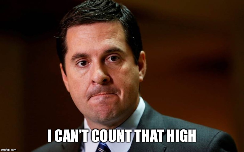 Devin Nunes | I CAN’T COUNT THAT HIGH | image tagged in devin nunes | made w/ Imgflip meme maker