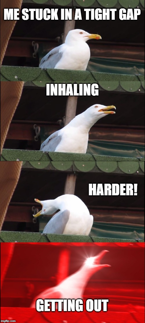 Inhaling Seagull | ME STUCK IN A TIGHT GAP; INHALING; HARDER! GETTING OUT | image tagged in memes,inhaling seagull | made w/ Imgflip meme maker