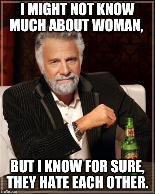 The Most Interesting Man In The World Meme | I MIGHT NOT KNOW MUCH ABOUT WOMAN, BUT I KNOW FOR SURE, THEY HATE EACH OTHER. | image tagged in memes,the most interesting man in the world | made w/ Imgflip meme maker