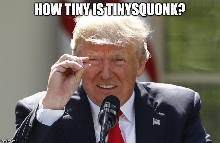 Trump small dick | HOW TINY IS TINYSQUONK? | image tagged in trump small dick | made w/ Imgflip meme maker