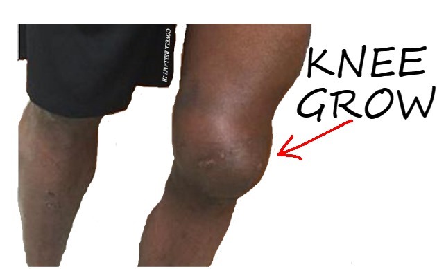 Knee Grow Please! Blank Meme Template