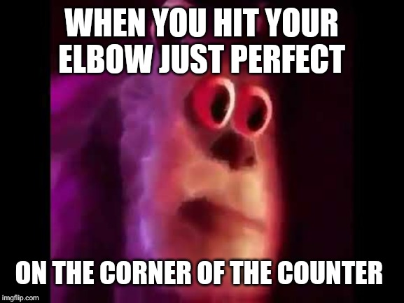 sully groan | WHEN YOU HIT YOUR ELBOW JUST PERFECT; ON THE CORNER OF THE COUNTER | image tagged in sully groan | made w/ Imgflip meme maker