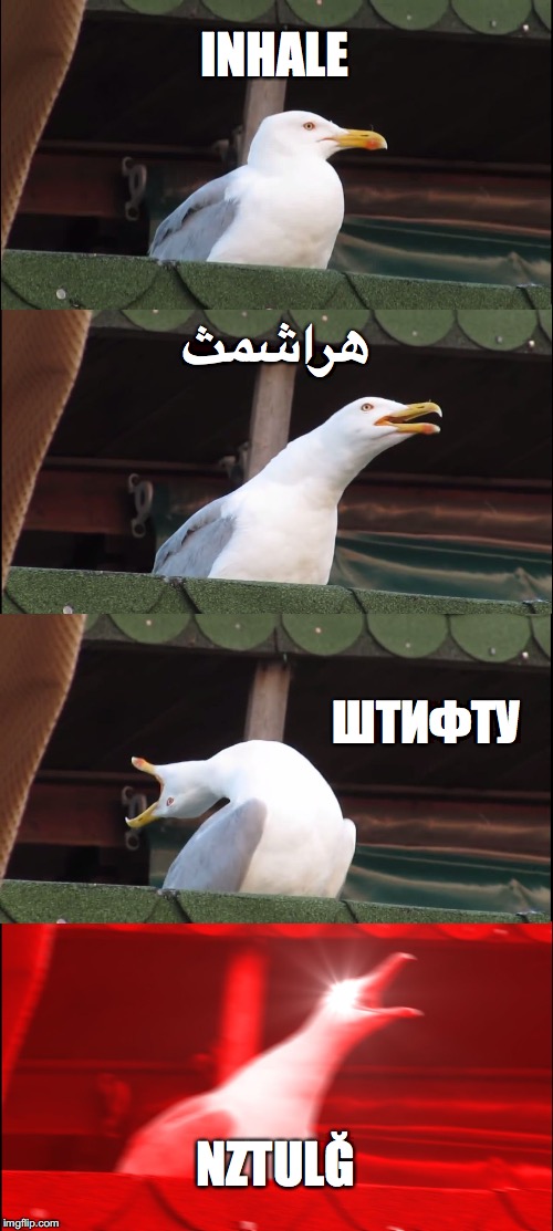 Inhaling Seagull | INHALE; هراشمث; ШТИФТУ; NZTULĞ | image tagged in memes,inhaling seagull | made w/ Imgflip meme maker