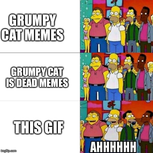 simpson ahhh | GRUMPY CAT MEMES GRUMPY CAT IS DEAD MEMES THIS GIF | image tagged in simpson ahhh | made w/ Imgflip meme maker