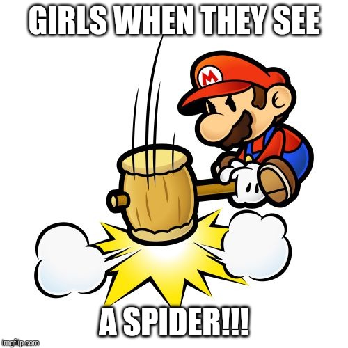 Mario Hammer Smash | GIRLS WHEN THEY SEE; A SPIDER!!! | image tagged in memes,mario hammer smash | made w/ Imgflip meme maker