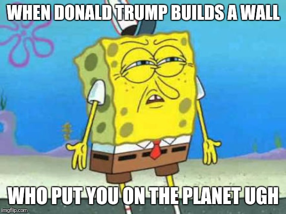 Who put you on the planet | WHEN DONALD TRUMP BUILDS A WALL; WHO PUT YOU ON THE PLANET UGH | image tagged in who put you on the planet | made w/ Imgflip meme maker