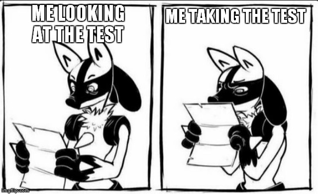 Confused Lucario | ME TAKING THE TEST; ME LOOKING AT THE TEST | image tagged in confused lucario | made w/ Imgflip meme maker