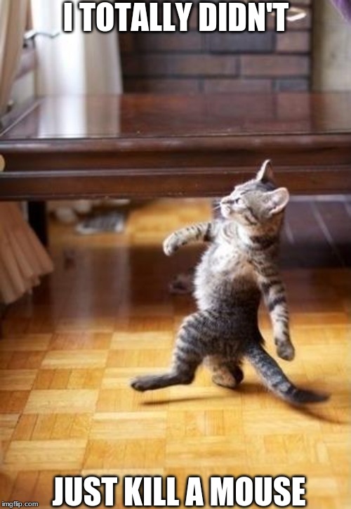 Cool Cat Stroll | I TOTALLY DIDN'T; JUST KILL A MOUSE | image tagged in memes,cool cat stroll | made w/ Imgflip meme maker