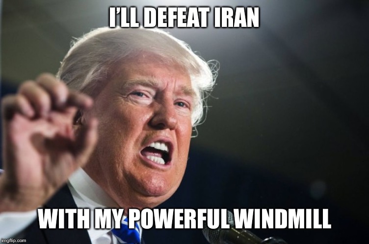 donald trump | I’LL DEFEAT IRAN WITH MY POWERFUL WINDMILL | image tagged in donald trump | made w/ Imgflip meme maker