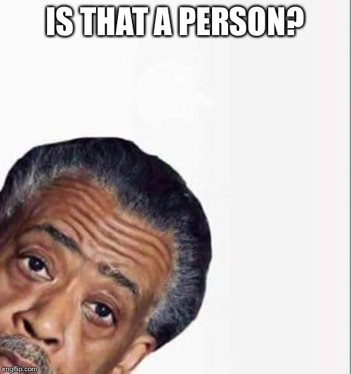 al sharpton | IS THAT A PERSON? | image tagged in al sharpton | made w/ Imgflip meme maker