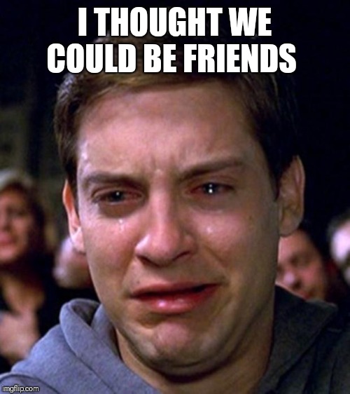 crying peter parker | I THOUGHT WE COULD BE FRIENDS | image tagged in crying peter parker | made w/ Imgflip meme maker