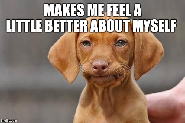 Dissapointed puppy | MAKES ME FEEL A LITTLE BETTER ABOUT MYSELF | image tagged in dissapointed puppy | made w/ Imgflip meme maker